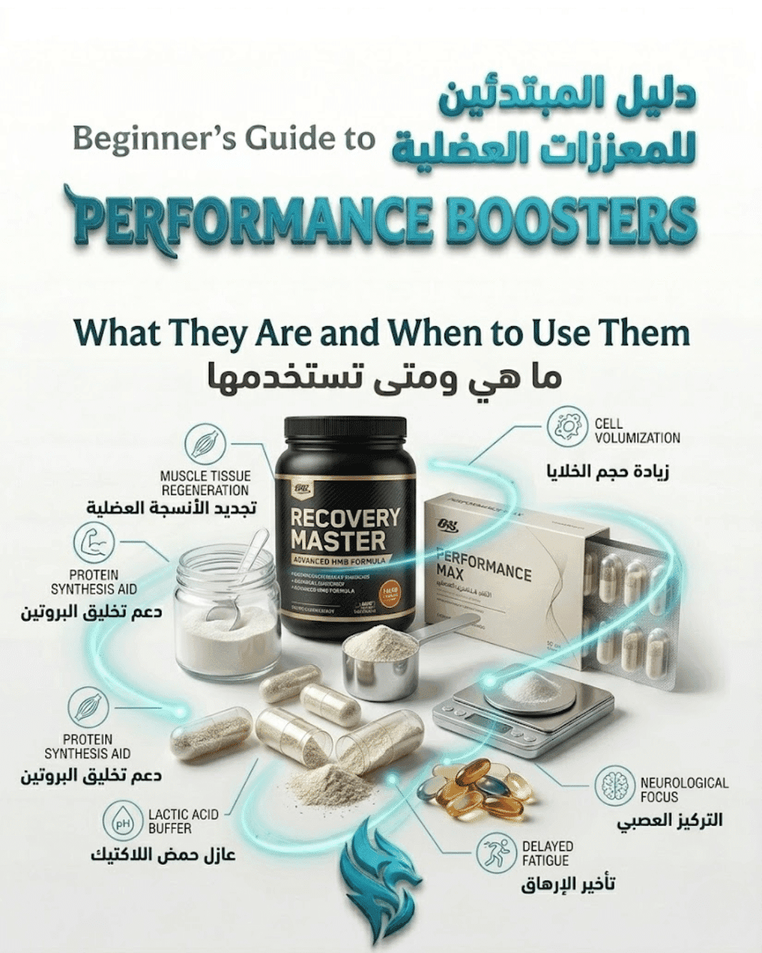 Beginner’s Guide to Performance Boosters for Muscle & Recovery